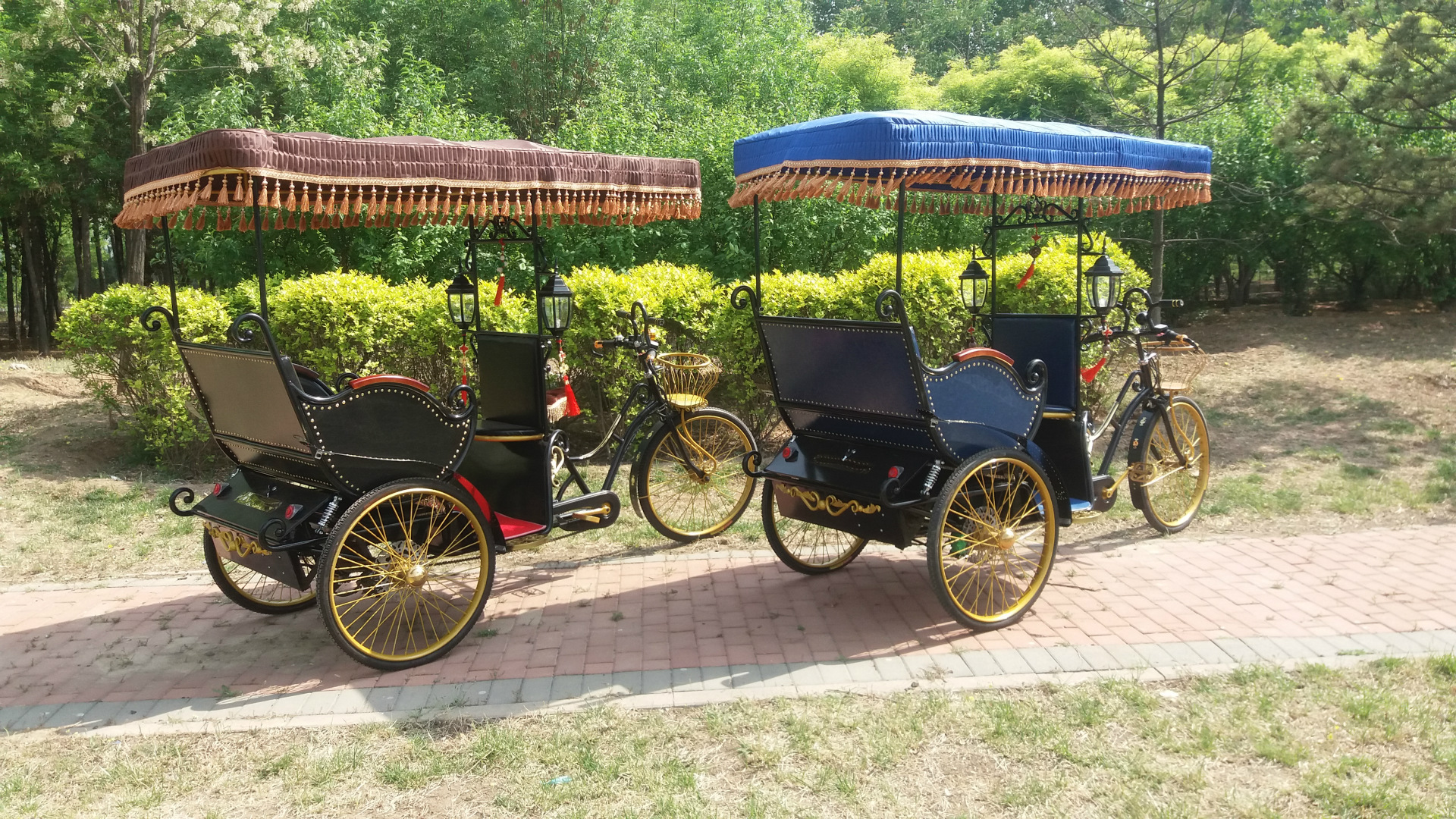 Electric tricycle with pedal for sightseeing tourism rental business