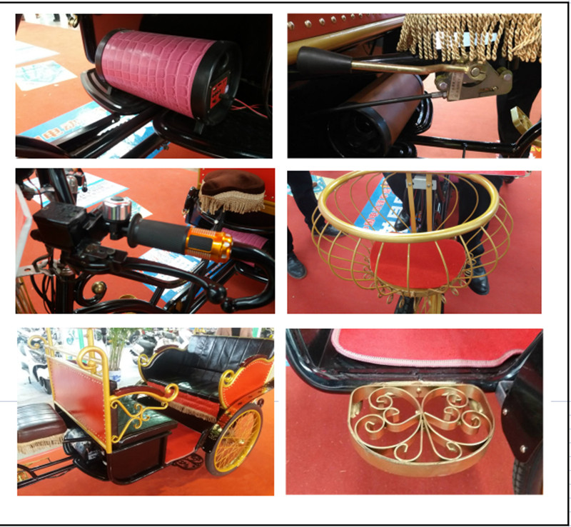 all angle of the pedicab electric rickshaw
